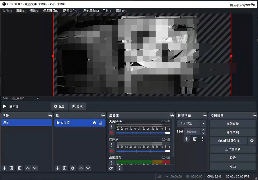 Enable the OBS virtual camera