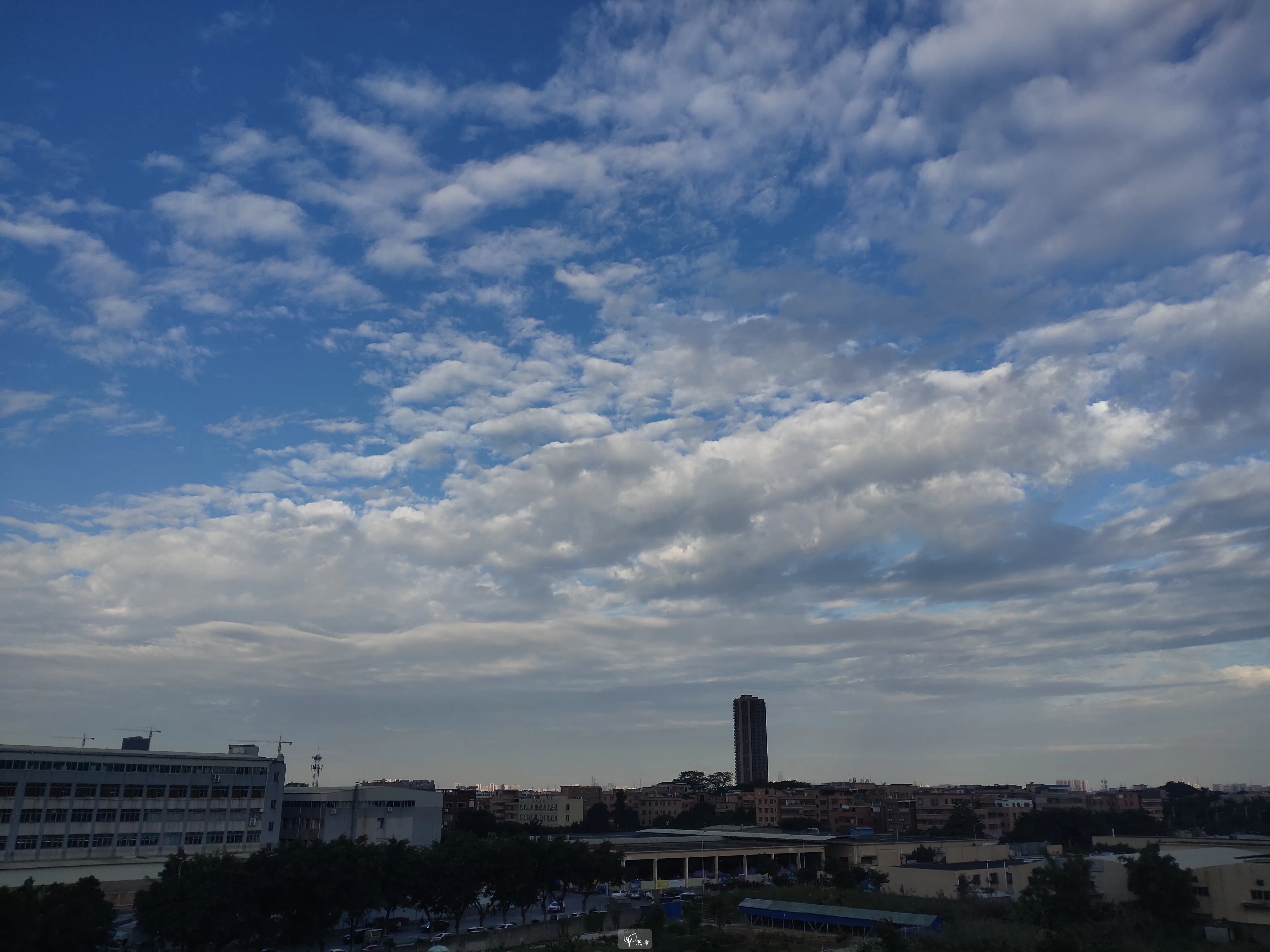 Aperture: 1.8, Shutter: 1/1402s, ISO-50