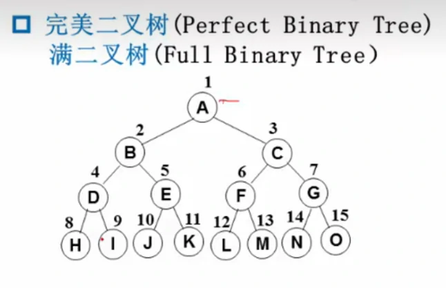 Perfect binary tree