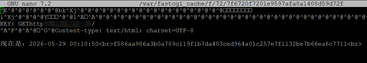 Invisible characters in the cache file are normal Invisible characters in the cache file are normal
