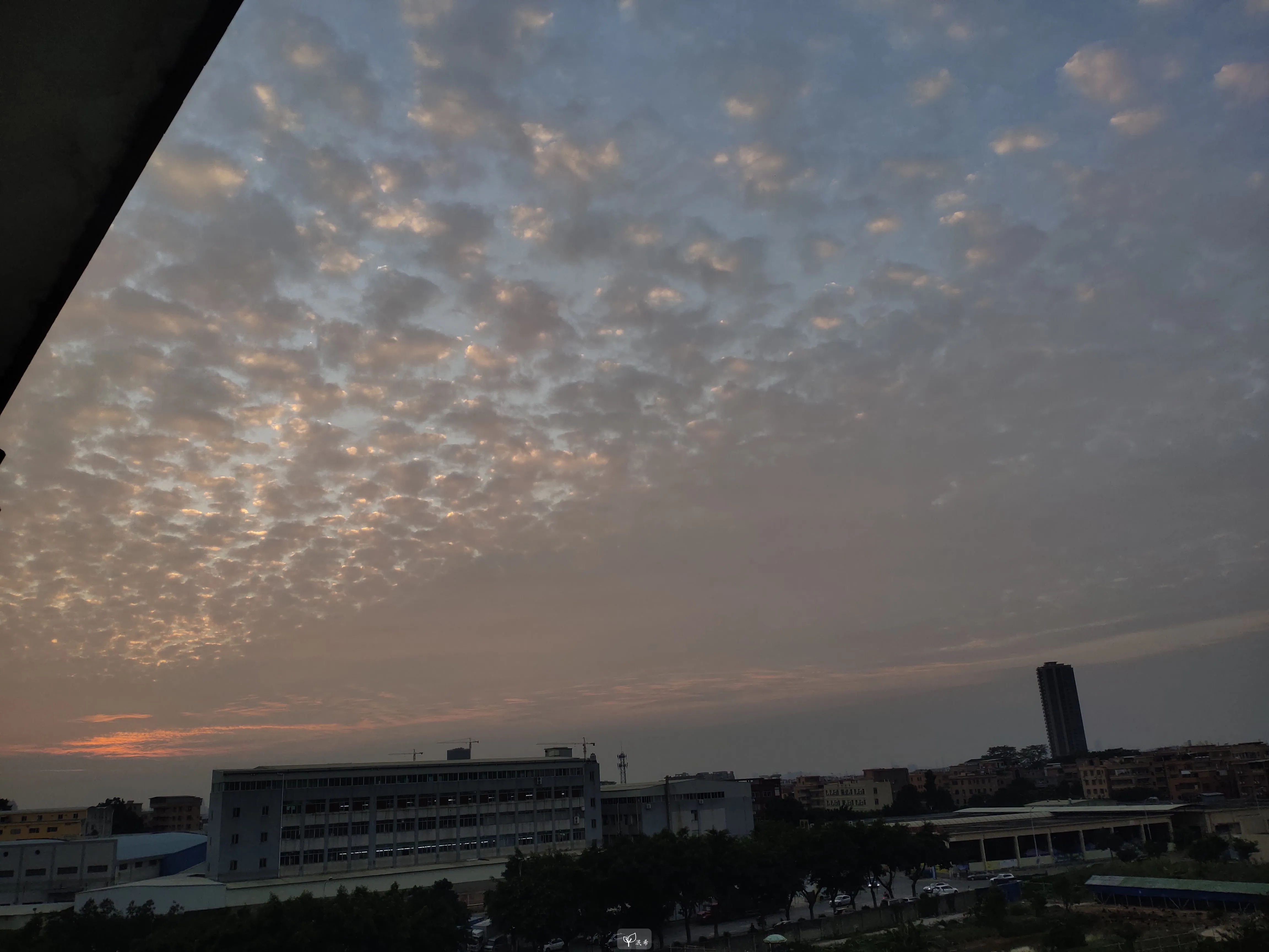 Aperture: 1.8, Shutter: 1/223s, ISO-50