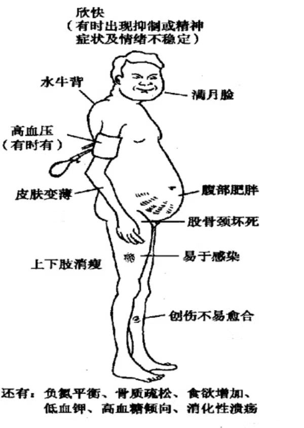 照镜子.jpg Looking in the mirror
